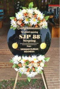Grand Opening Seluma